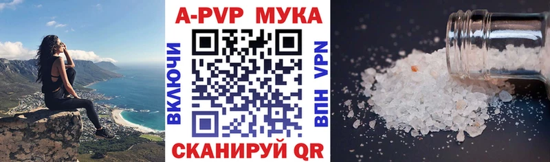 блэк спрут ссылки  Шацк  Alfa_PVP VHQ  наркошоп 