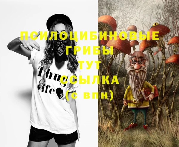 прущие крисы Богородицк