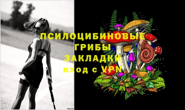 прущие крисы Богородицк