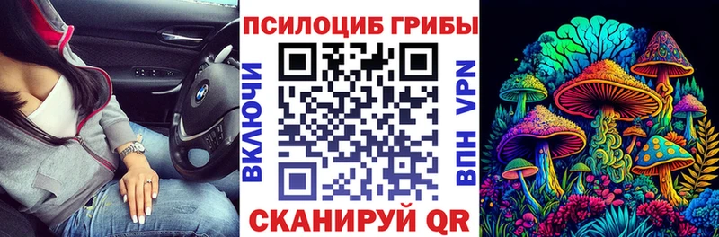 Галлюциногенные грибы Magic Shrooms Шацк